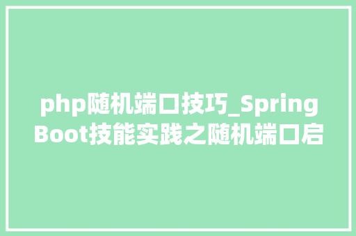 php随机端口技巧_SpringBoot技能实践之随机端口启动