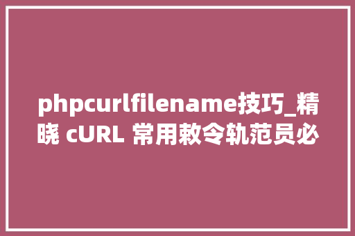 phpcurlfilename技巧_精晓 cURL 常用敕令轨范员必备技能之一