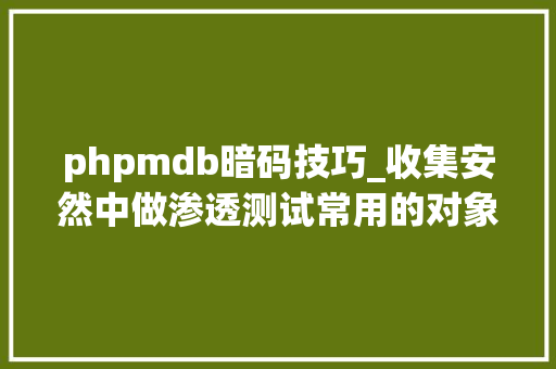 phpmdb暗码技巧_收集安然中做渗透测试常用的对象有哪些
