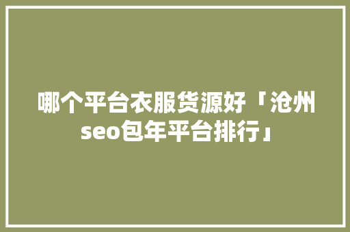 哪个平台衣服货源好「沧州seo包年平台排行」