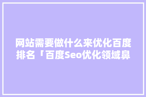 网站需要做什么来优化百度排名「百度Seo优化领域鼻祖」