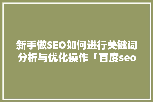 新手做SEO如何进行关键词分析与优化操作「百度seo关键词优化方案」