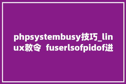 phpsystembusy技巧_linux敕令  fuserlsofpidof进修