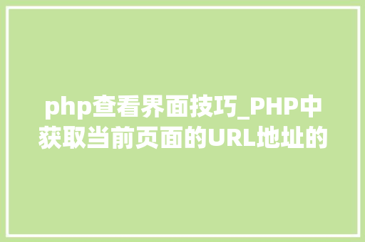 php查看界面技巧_PHP中获取当前页面的URL地址的方法