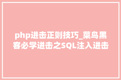 php进击正则技巧_菜鸟黑客必学进击之SQL注入进击