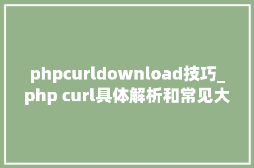 phpcurldownload技巧_php curl具体解析和常见大年夜坑