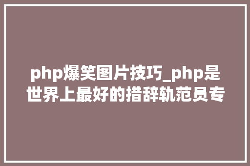 php爆笑图片技巧_php是世界上最好的措辞轨范员专用神色包来袭