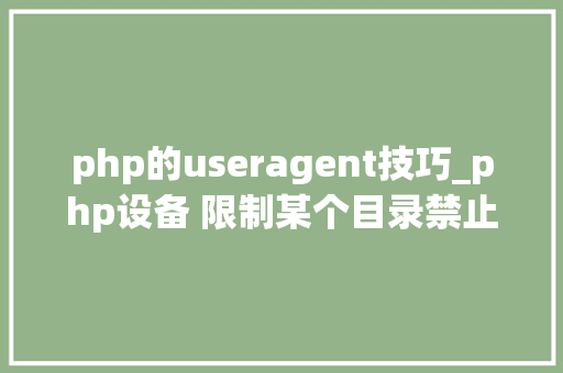 php的useragent技巧_php设备 限制某个目录禁止解析php 限制user_agent