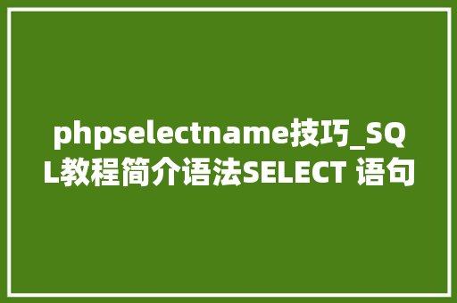 phpselectname技巧_SQL教程简介语法SELECT 语句SELECT DISTINCT 语句