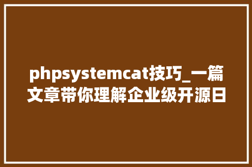 phpsystemcat技巧_一篇文章带你理解企业级开源日志平台ELK的架构和搭建