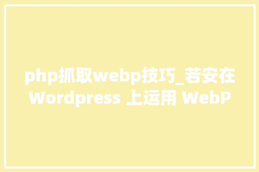 php抓取webp技巧_若安在Wordpress 上运用 WebP图片格式