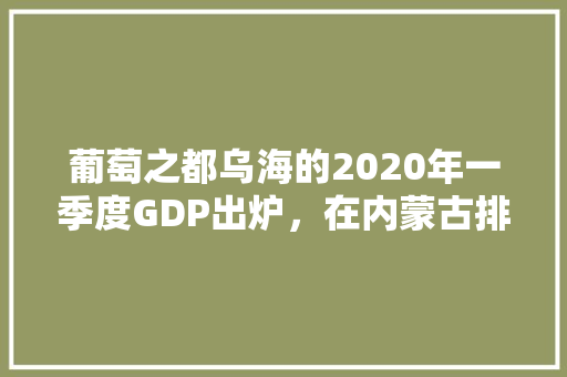 葡萄之都乌海的2020年一季度GDP出炉，在内蒙古排名第几「乌海seo公司」