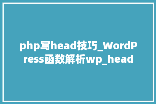 php写head技巧_WordPress函数解析wp_head