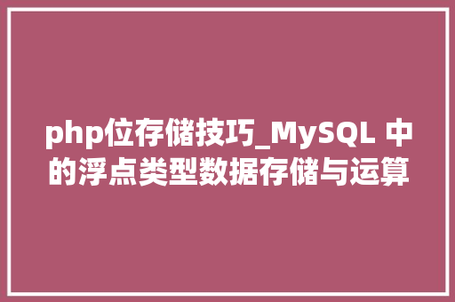 php位存储技巧_MySQL 中的浮点类型数据存储与运算精度深入解析