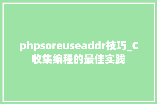 phpsoreuseaddr技巧_C收集编程的最佳实践