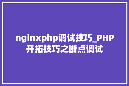 nginxphp调试技巧_PHP开拓技巧之断点调试