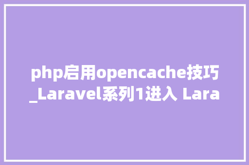 php启用opencache技巧_Laravel系列1进入 Laravel 的世界