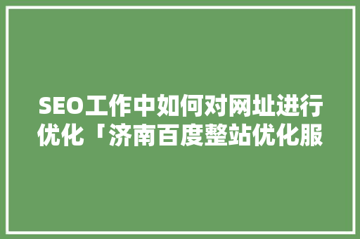 SEO工作中如何对网址进行优化「济南百度整站优化服务」