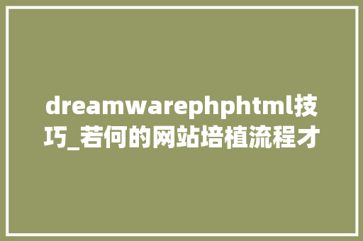 dreamwarephphtml技巧_若何的网站培植流程才算是完整看完这个你就懂了