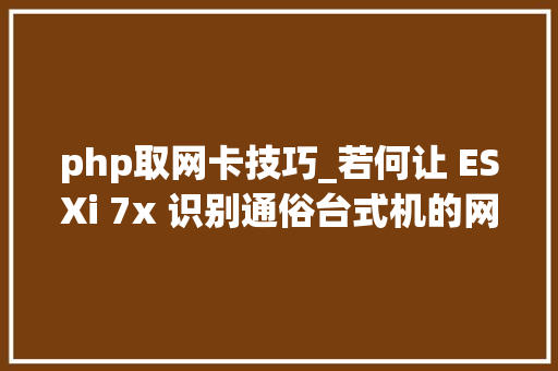 php取网卡技巧_若何让 ESXi 7x 识别通俗台式机的网卡