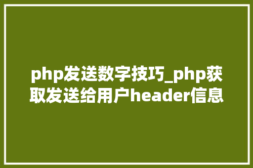 php发送数字技巧_php获取发送给用户header信息的方法