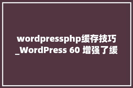 wordpressphp缓存技巧_WordPress 60 增强了缓存功能支持批量添加设置和删除缓存