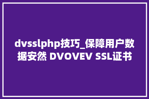 dvsslphp技巧_保障用户数据安然 DVOVEV SSL证书哪个更适合你的网站
