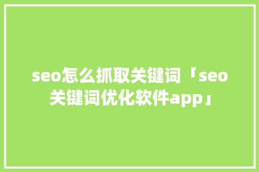 seo怎么抓取关键词「seo关键词优化软件app」