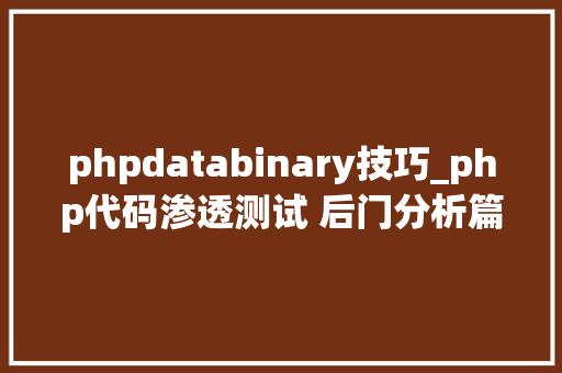 phpdatabinary技巧_php代码渗透测试 后门分析篇