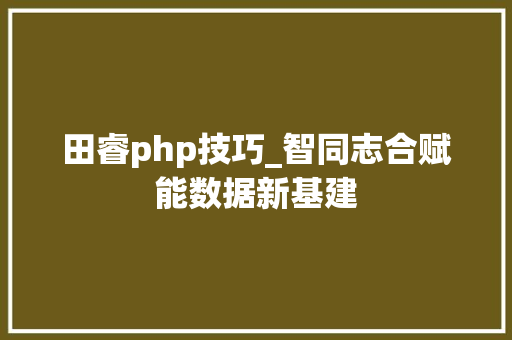 田睿php技巧_智同志合赋能数据新基建