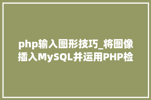 php输入图形技巧_将图像插入MySQL并运用PHP检索图像