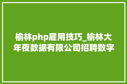 榆林php雇用技巧_榆林大年夜数据有限公司招聘数字政府培植高层次专家人才