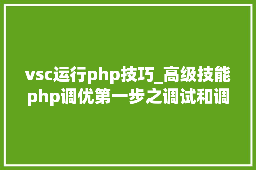 vsc运行php技巧_高级技能php调优第一步之调试和调优对象xdebug