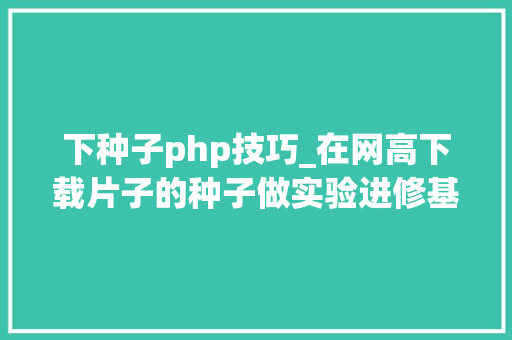 下种子php技巧_在网高下载片子的种子做实验进修基于P2P的BT下载