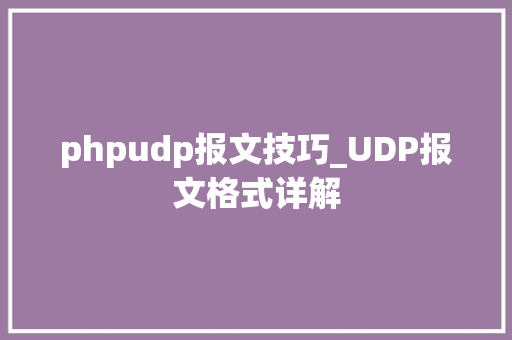 phpudp报文技巧_UDP报文格式详解