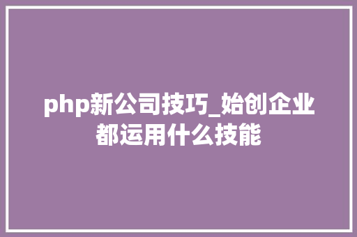 php新公司技巧_始创企业都运用什么技能