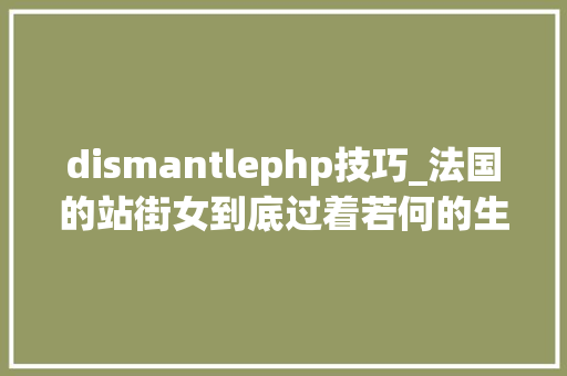 dismantlephp技巧_法国的站街女到底过着若何的生活
