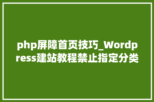 php屏障首页技巧_Wordpress建站教程禁止指定分类在首页显示的方法