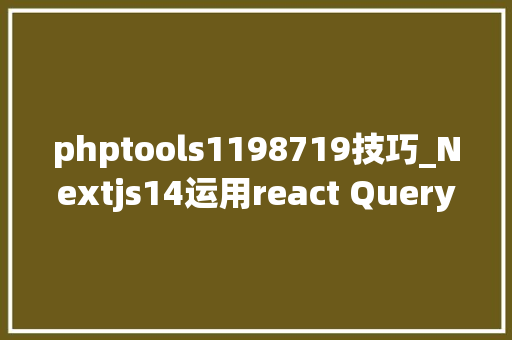 phptools1198719技巧_Nextjs14运用react Query查询