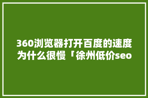 360浏览器打开百度的速度为什么很慢「徐州低价seo」