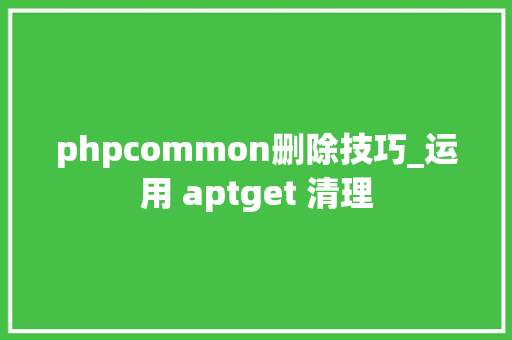 phpcommon删除技巧_运用 aptget 清理