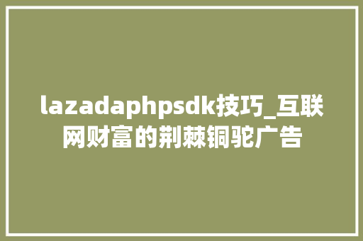 lazadaphpsdk技巧_互联网财富的荆棘铜驼广告