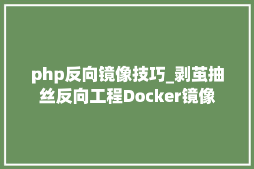 php反向镜像技巧_剥茧抽丝反向工程Docker镜像