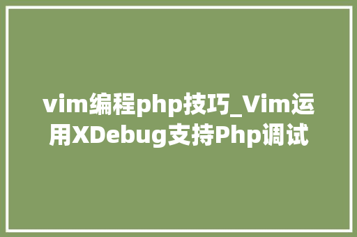 vim编程php技巧_Vim运用XDebug支持Php调试