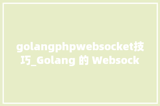 golangphpwebsocket技巧_Golang 的 Websocket 教程