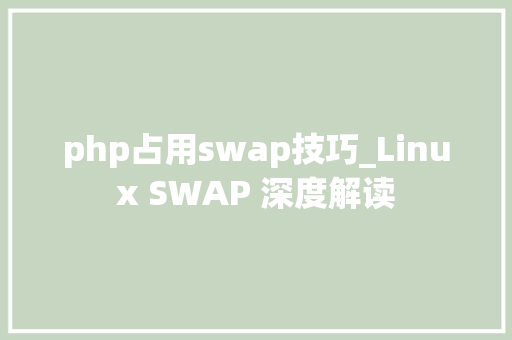 php占用swap技巧_Linux SWAP 深度解读