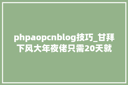 phpaopcnblog技巧_甘拜下风大年夜佬只需20天就拿到美团快手小米搜狐跟谁学的offer
