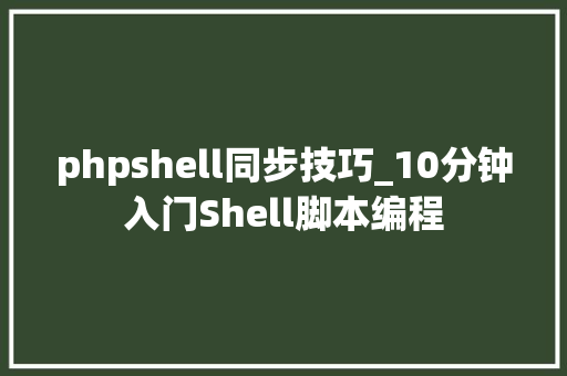 phpshell同步技巧_10分钟入门Shell脚本编程