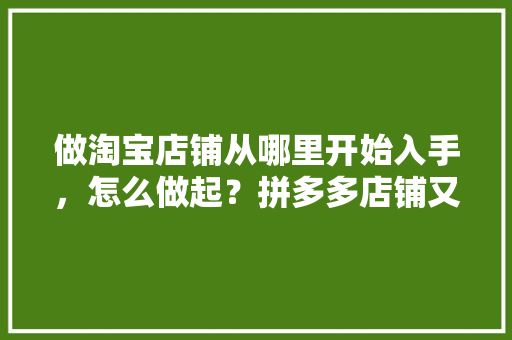 做淘宝店铺从哪里开始入手，怎么做起？拼多多店铺又该如何运营「福建seo关键词优化外包」