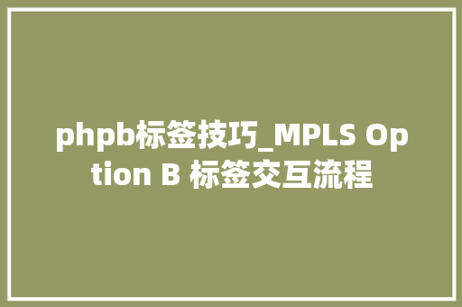 phpb标签技巧_MPLS Option B 标签交互流程